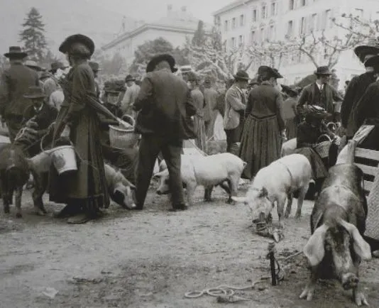 Foto storica a San Daniele del Friuli