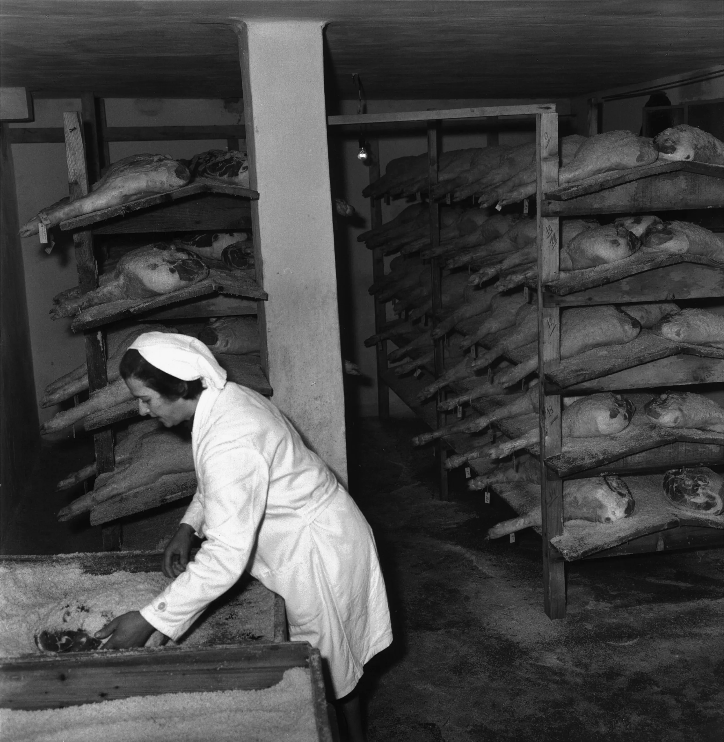 Stagionatura del prosciutto di San Daniele nell'osteria trasformata da Caterina in locale di degustazione