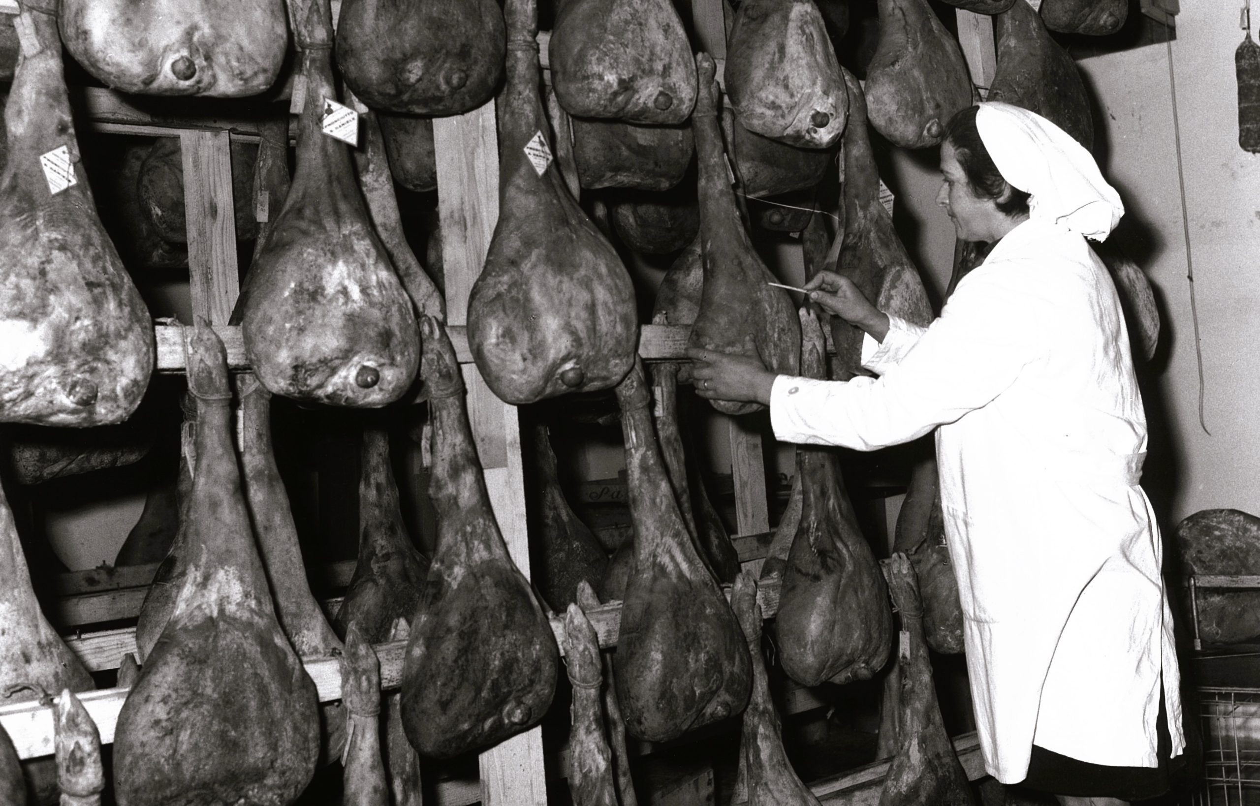 La storia di Caterina, la donna che ha scritto il nostro futuro