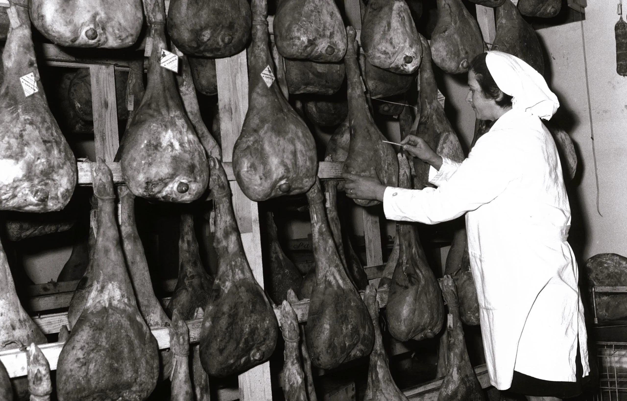 Caterina Alberti la donna che ha scritto il nostro futuro