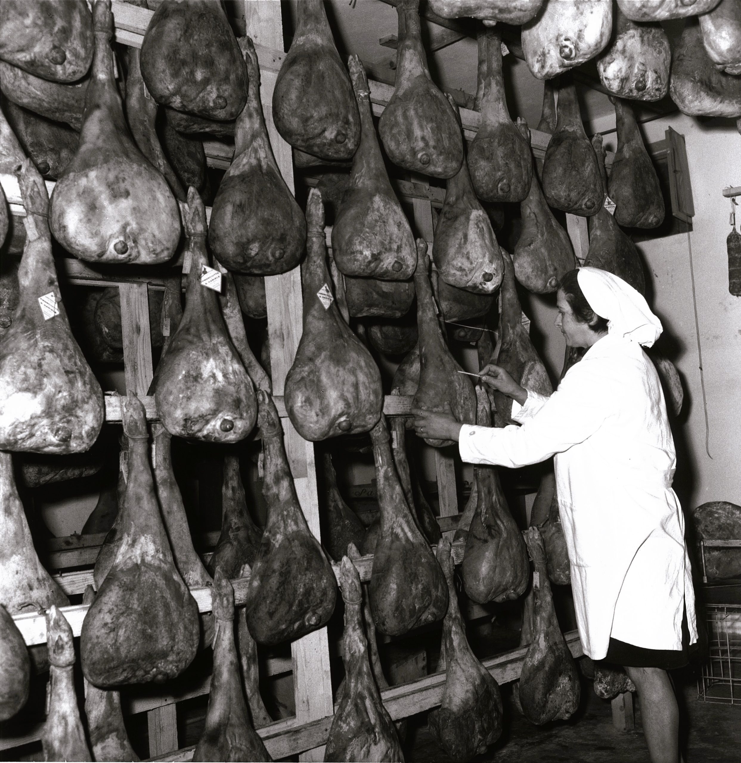  Caterina fondatrice de La Casa del Prosciutto di San Daniele del Friuli